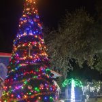 🎄 Encendida del Árbol Navideño en el CBTis No. 83 ✨